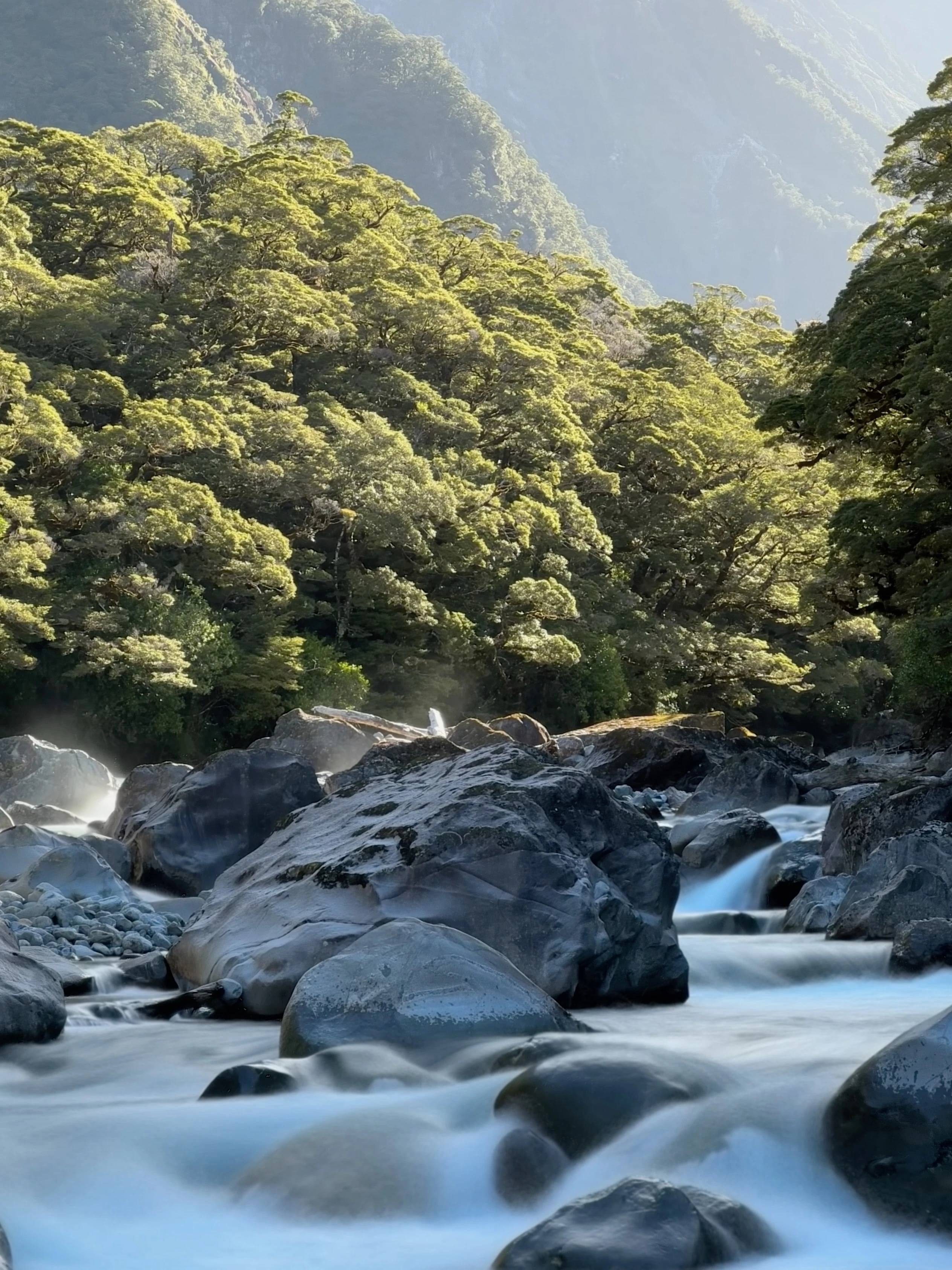 New Zealand