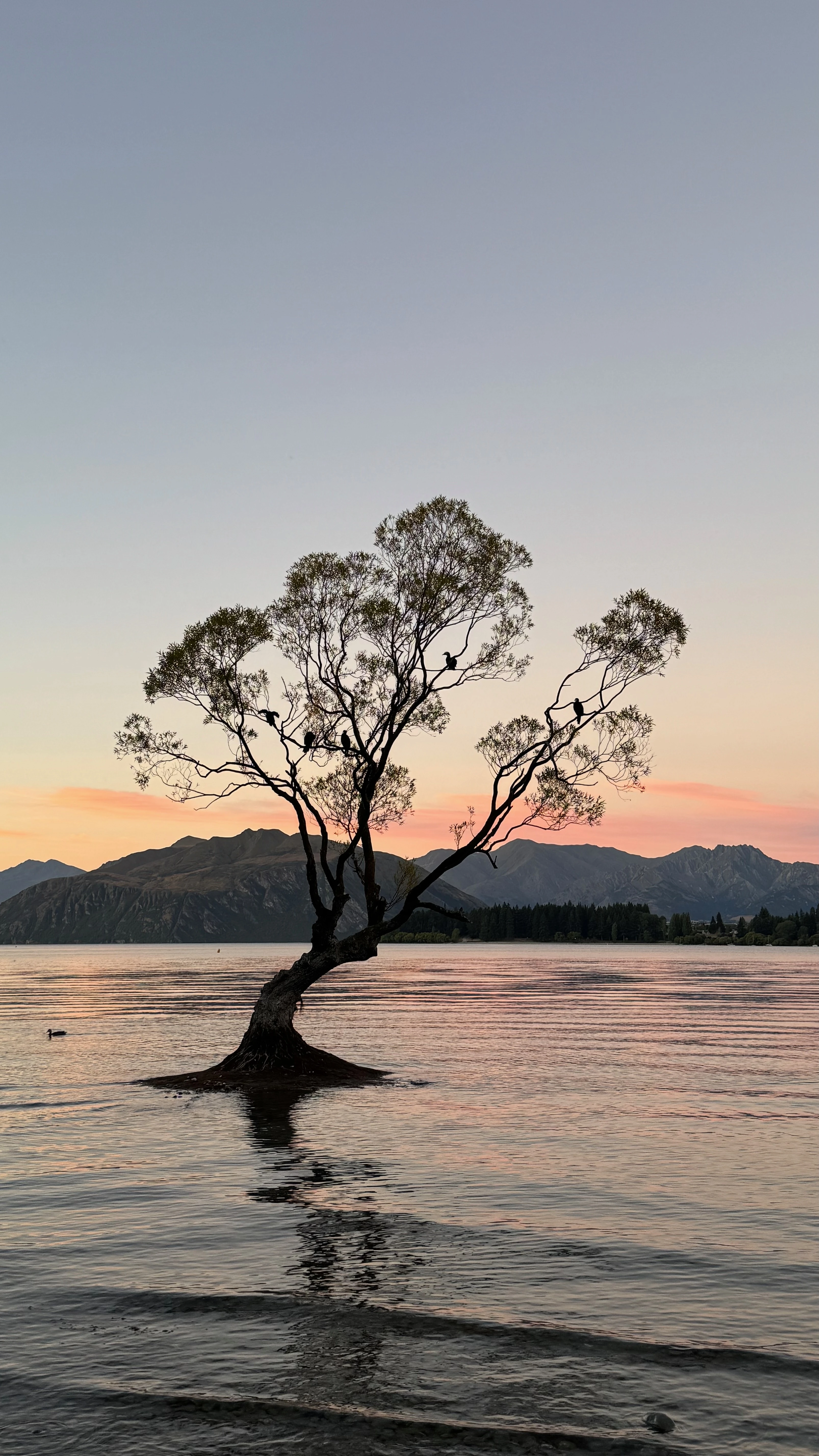 New Zealand