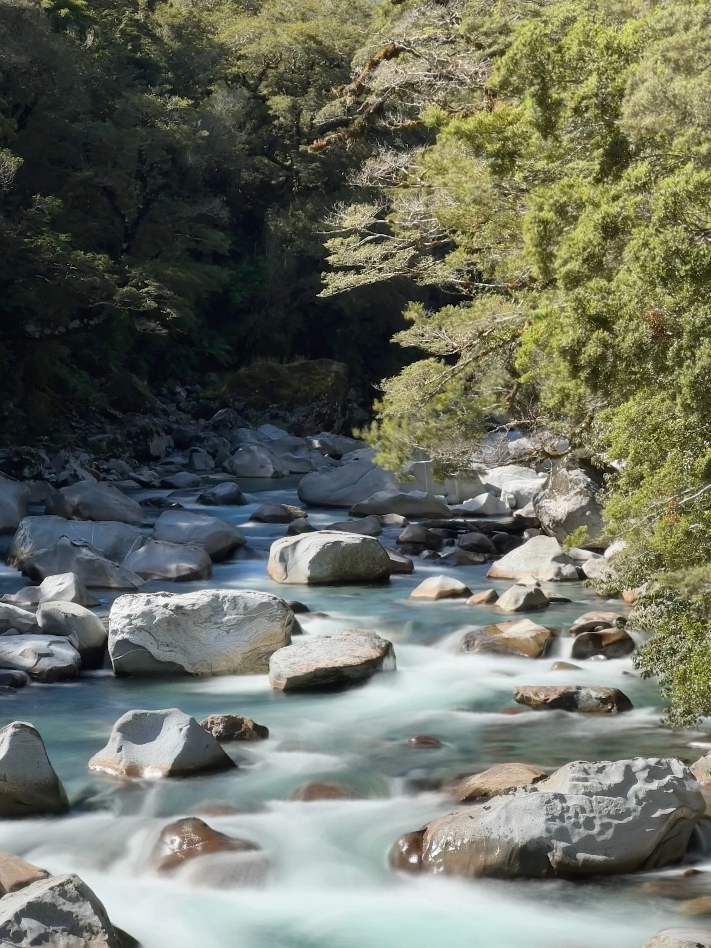 New Zealand